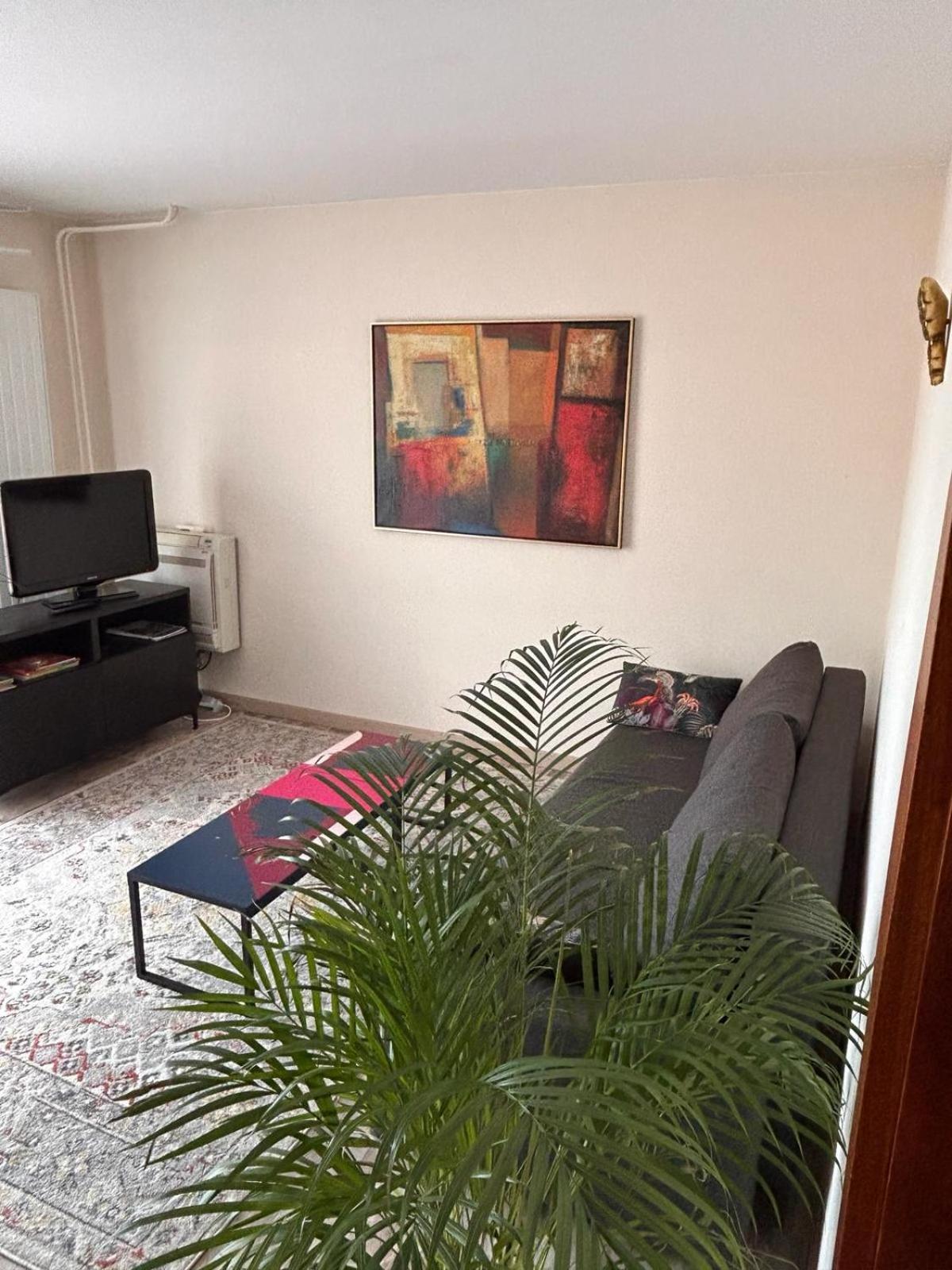 Appartement Sur Les Bords De L'Ill Strasbourg Exterior foto